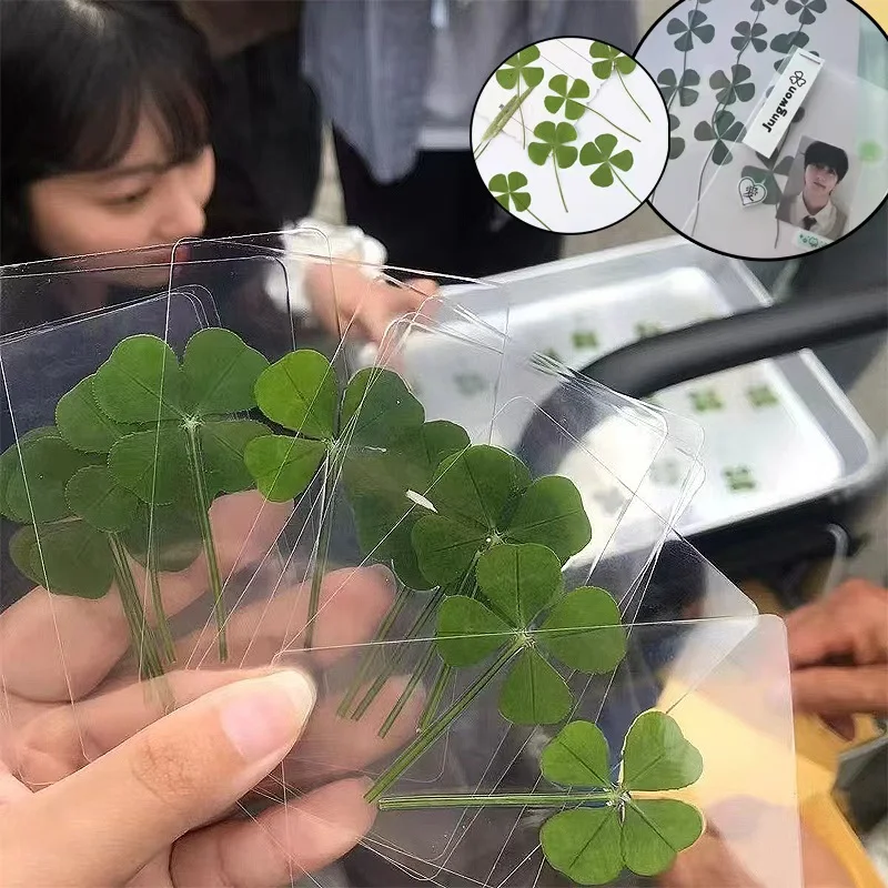 5PCS Lucky Four-Leaf Clover Bookmark -  Transparent Card, Simple Style Wishing Bookmark
