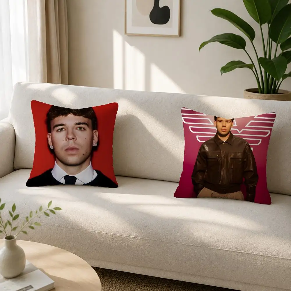 Singer Quevedo EL BAIFO Cushion Cover Soft Plush Cushion Covers Fluffy Throw Pillow Cases for Sofa Bedroom Home Decor
