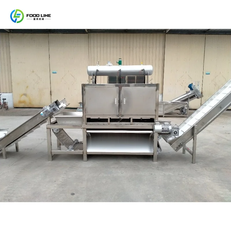 Customized High Efficiency Garlic Vegetable Peeler Integrated Extraction Functional Machine