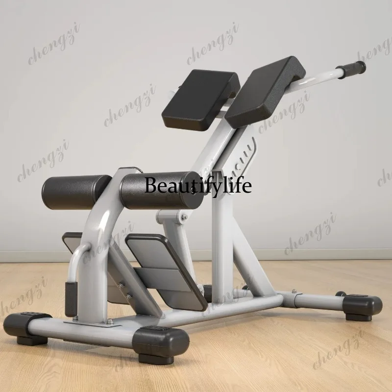A85 Home Multifunctional Lumbar Commercial Professional Fitness Chair Ab Training Device Roman Stool