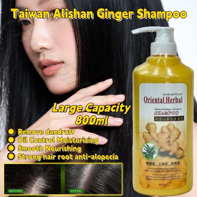

Taiwan Alishan Ginger Shampoo Scalp Exfoliation Oil Control Moisturizing Smooth Nourishing Shampoo Large Capacity 800ml