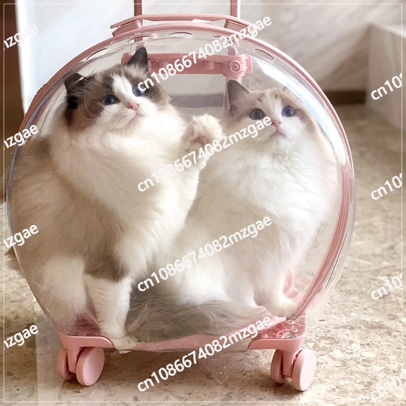 Bubble box Large capacity cat dog going out Portable space capsule Pet backpack Transparent trolley case