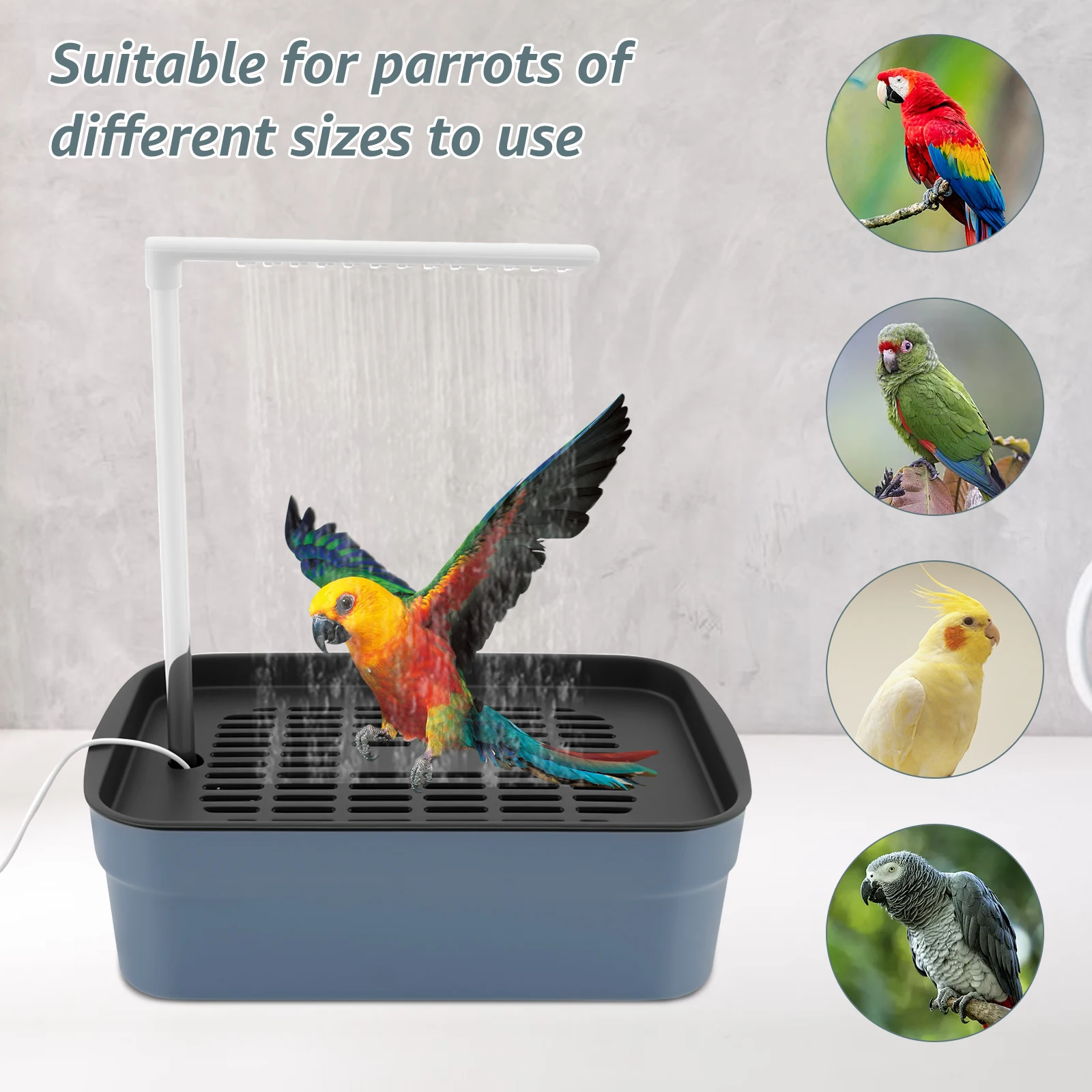 Thumbnail 2 - #20 Bird Baths Discount Picks