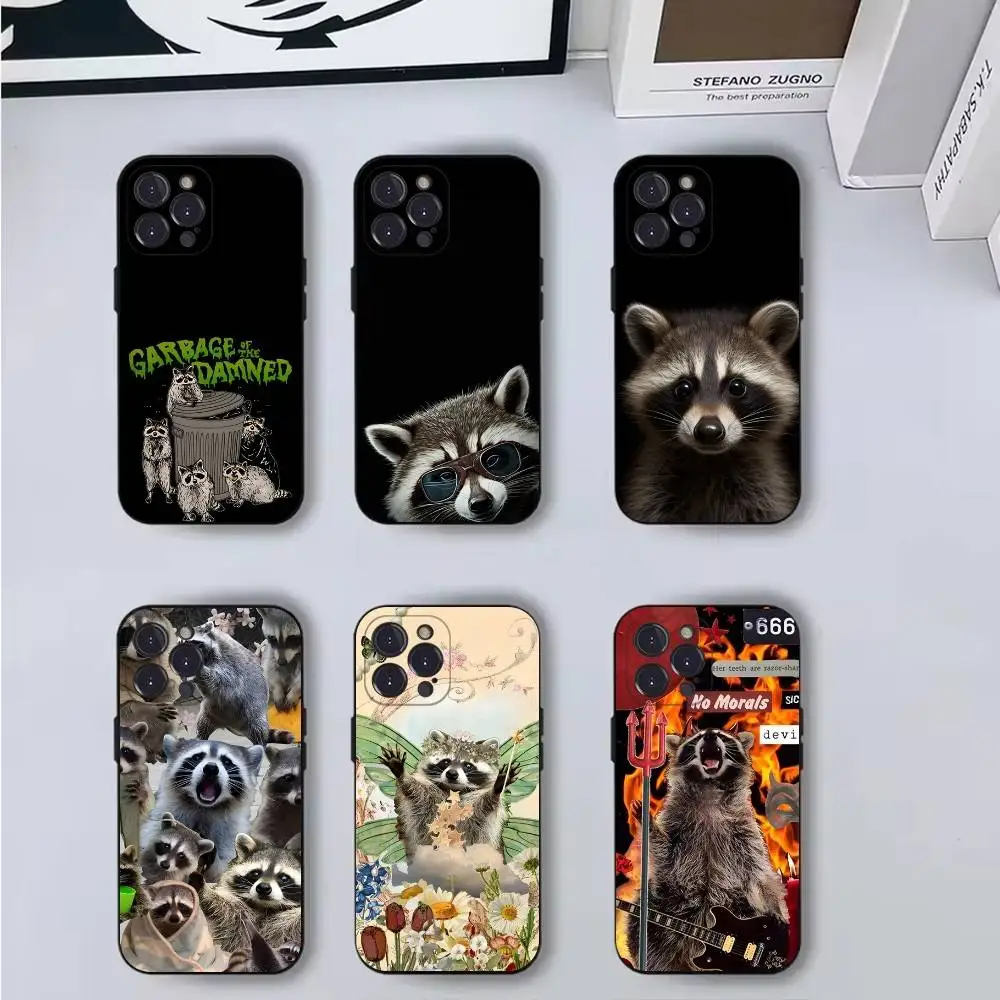 

Cute Raccoon Phone Case Phone Case For iPhone 16,15,14,13,12,11,Pro,X,XS,Max,XR,Plus,Mini Soft Black Cover