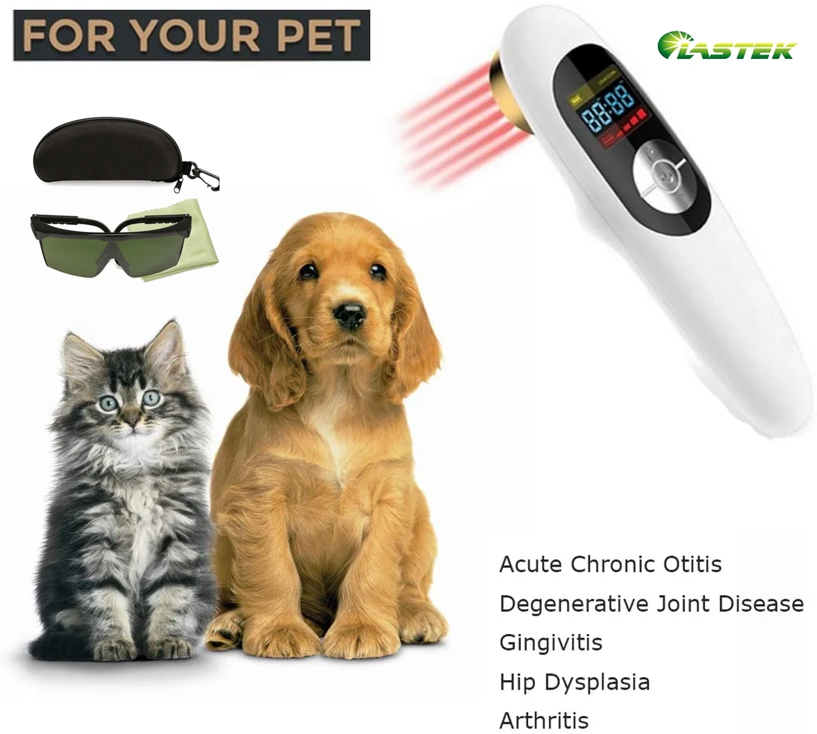 

Cold Laser Therapy Vet Device for Pets 1x808nm Red Light Therapy Devices for Pain Relief Home Light Therapy for Dogs Cats Horses