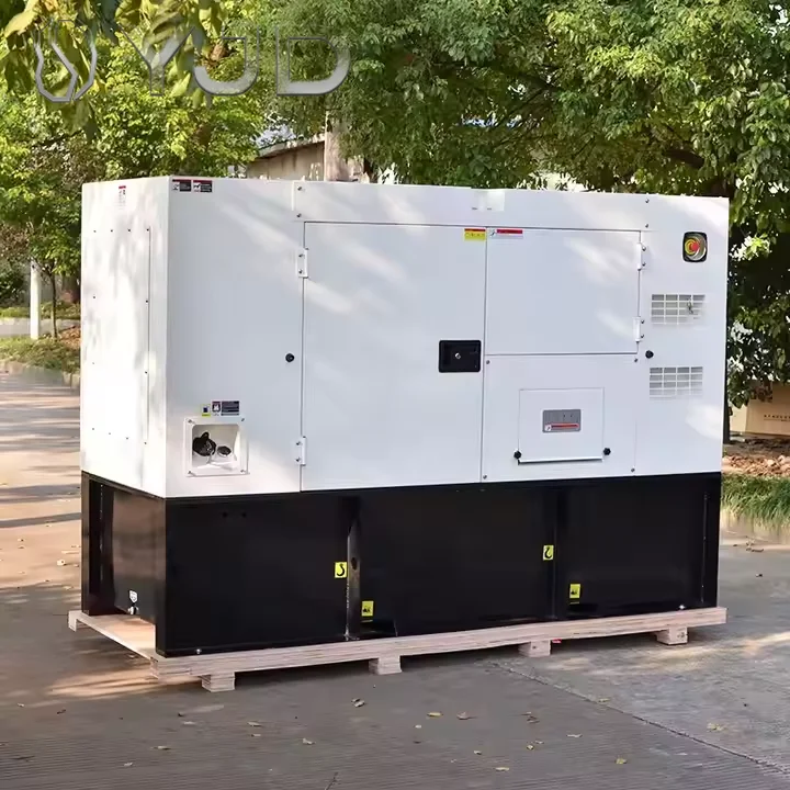 DYJD 20KW 30KW 40KW 50KW 60KW 75KVA 80KW Home Use diesel Generator for Sale