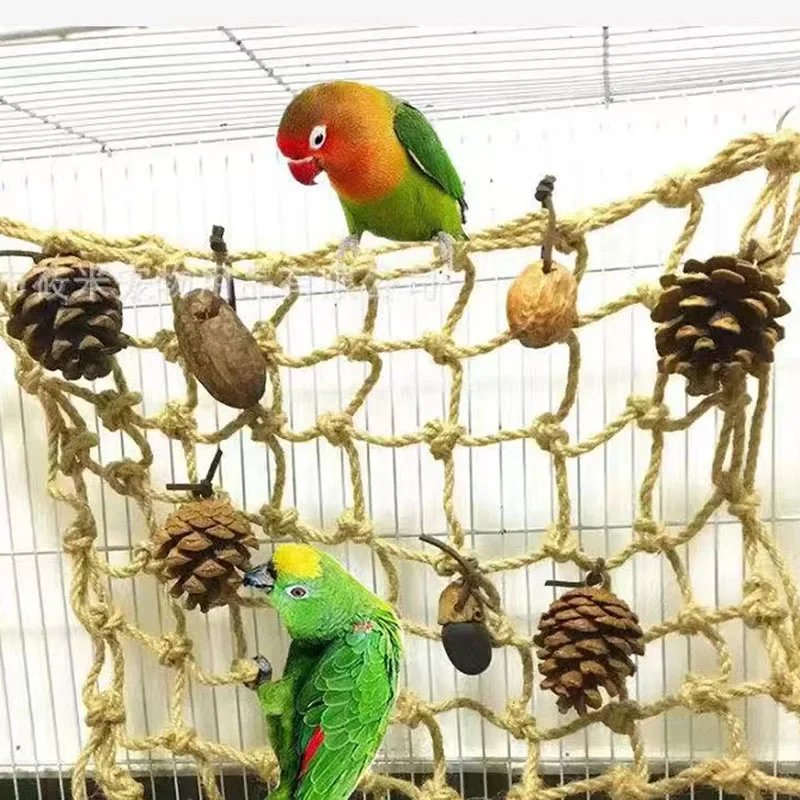 Thumbnail 4 - #23 Bird Perch Stands Comparison Guide