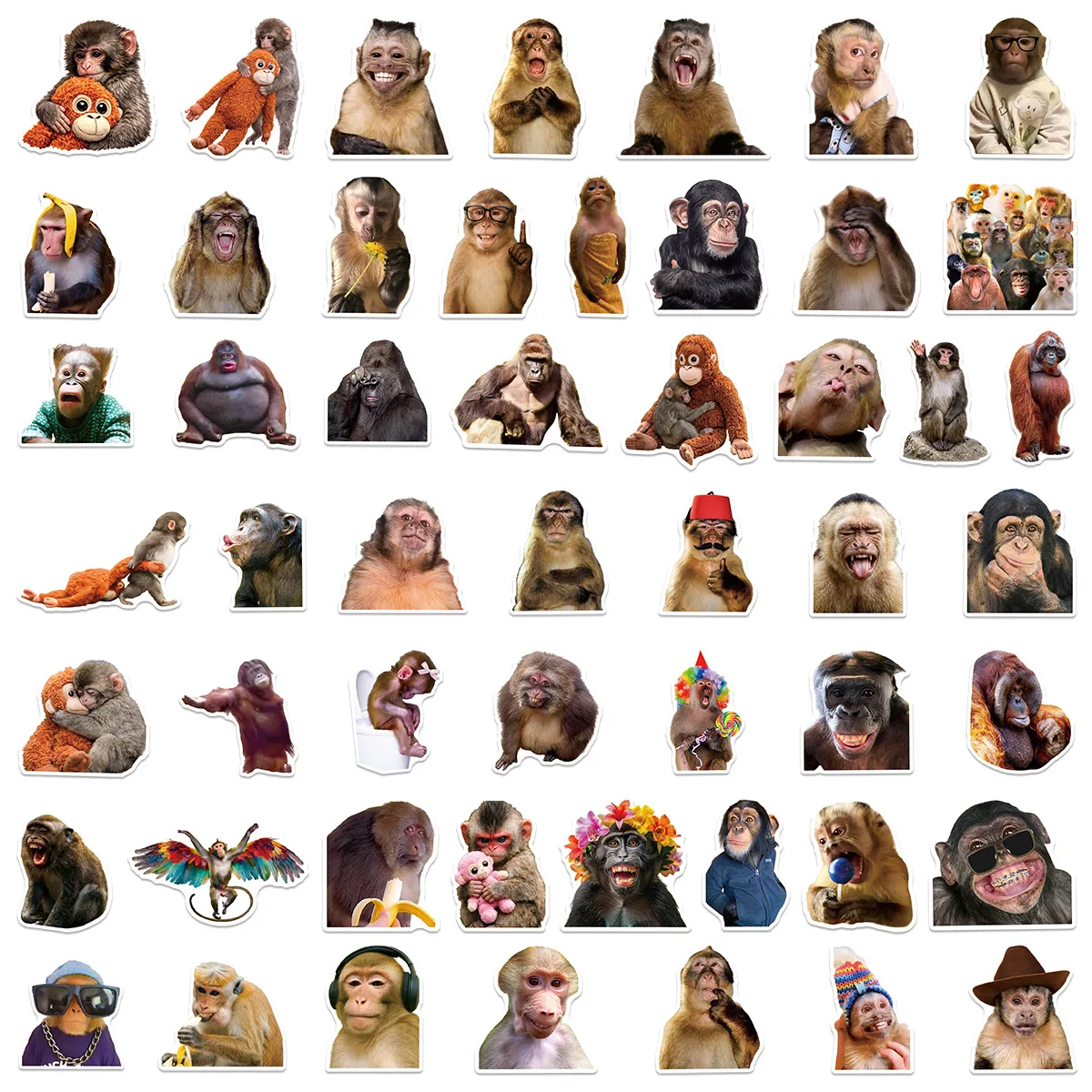 

50PCS Funny Monkey Meme Stickers Realistic Funny Monkey Cute Animal DIY Decorative Laptop Water Cup Waterproof Stickers Kids Toy