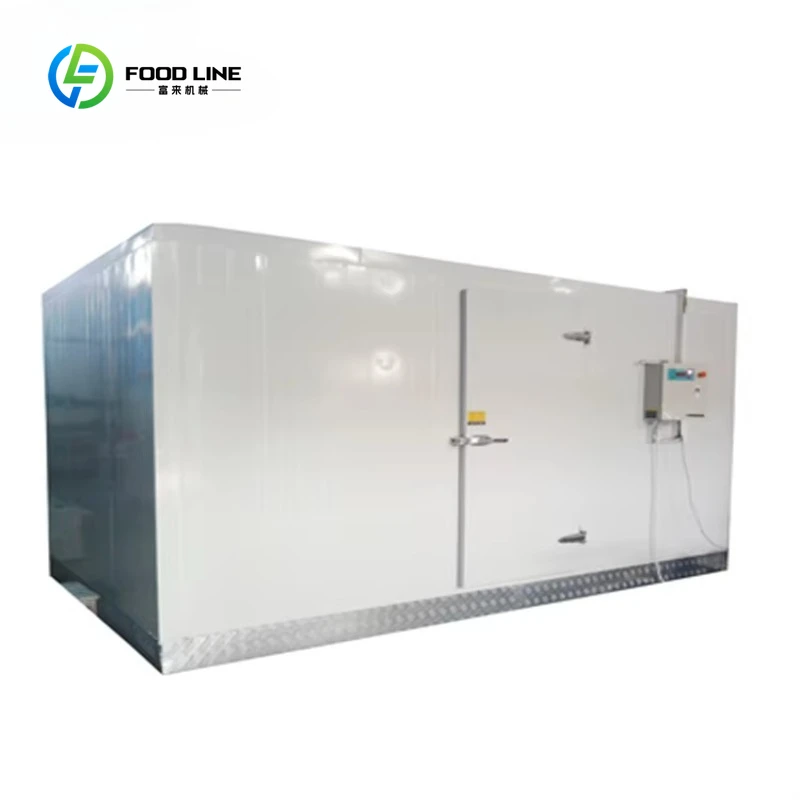 Customized 10-100 Ton Industrial Blast Freezer - Walk in Cold Room for Meat/Fish/Vegetable/Fruit Preservation