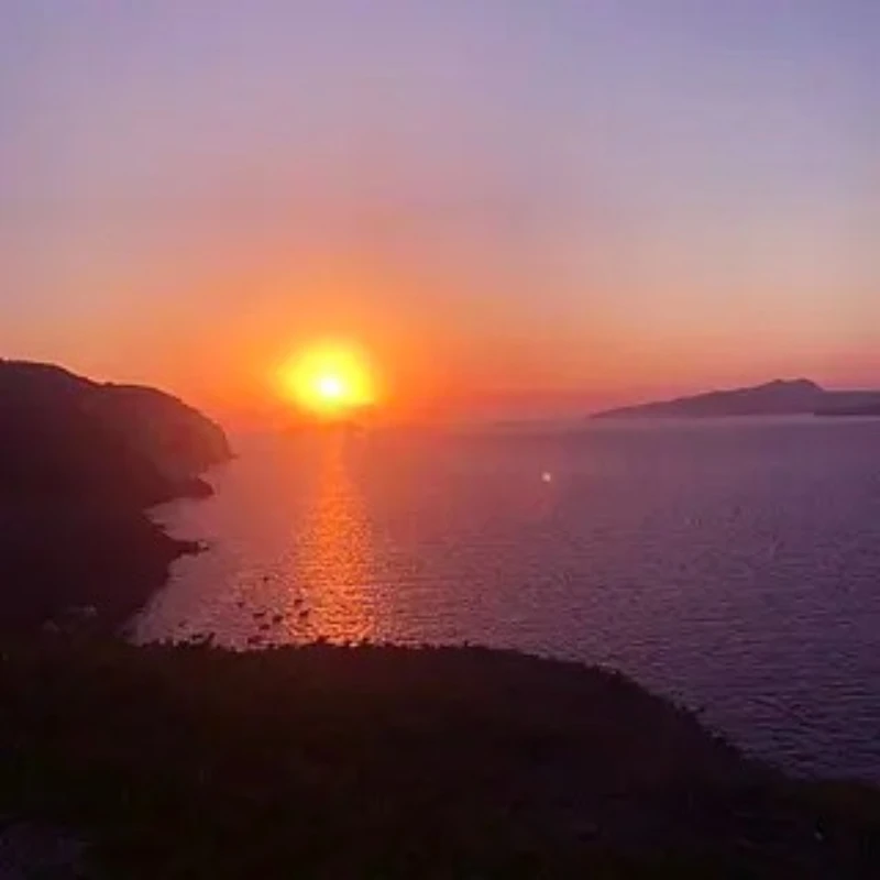 

1PCS MATEK SERVO PDB with BEC 5.5-36V TO 5-8.2V BEC Voltage Power Module 5V/6V/ 7.2V/8.2V Servo Distribution Board for RC Drone