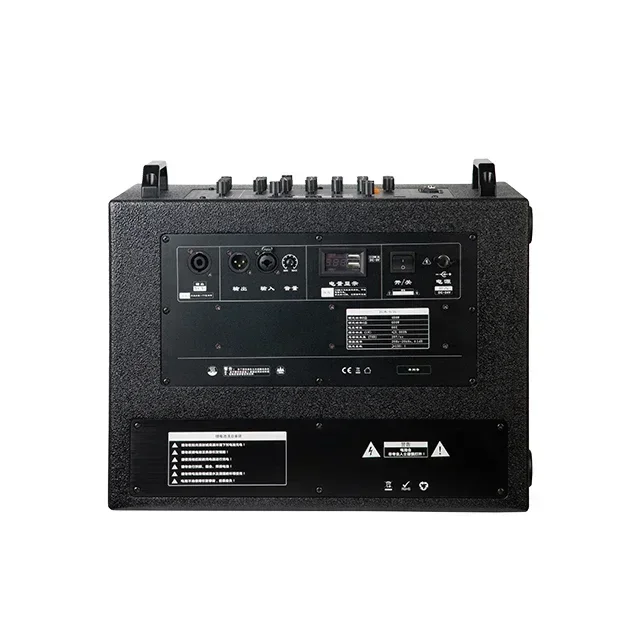 In Stock TC10a Portable 10-Inch Roadshow Speaker High Power 400w RMS Street Performance Guitar Singing Playing 500w Passive