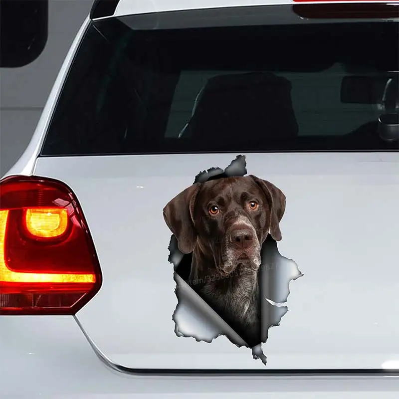 German shorthair pointer Car Sticker Waterproof Vinyl Decal Bumper Rear Window Laptop Self-adhesive Decal Car Accessories SH207