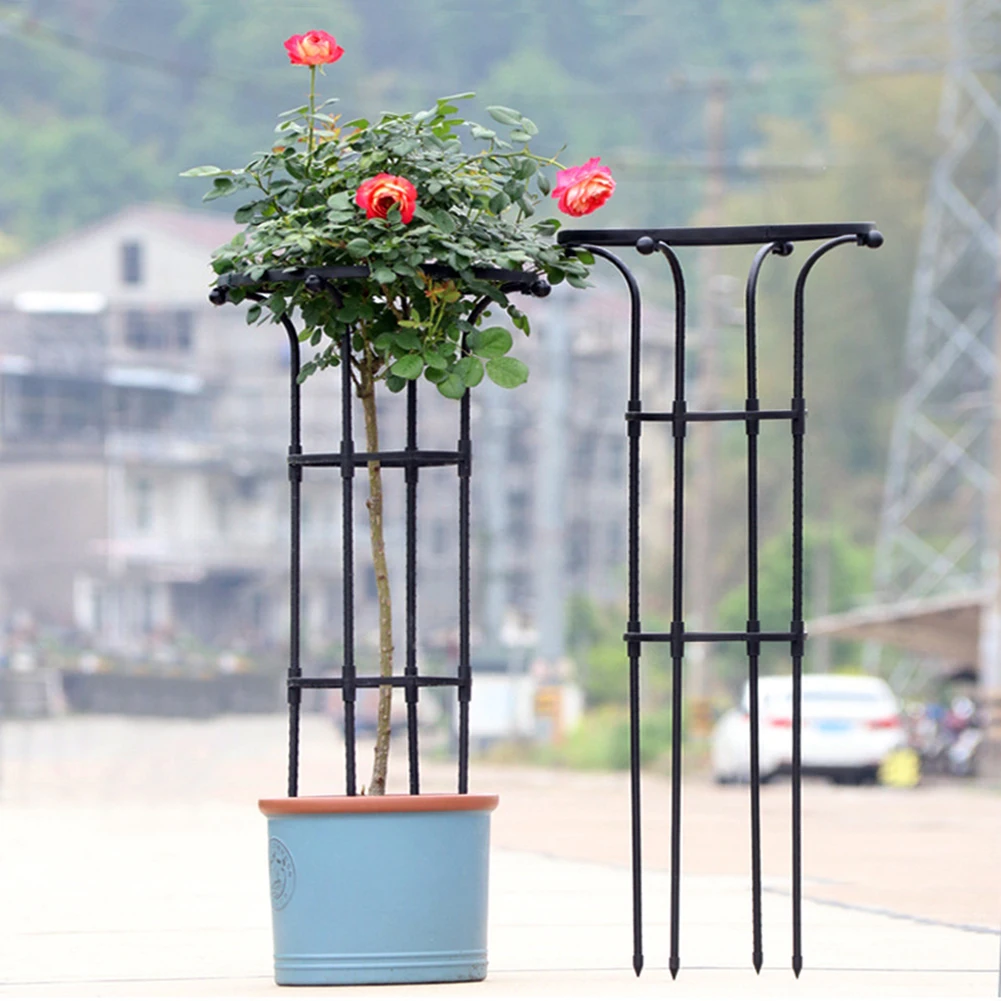Metal Trellis for Climbing Plants with Obelisk Structure Supporting Upward Growth of Flowers Vines and Vegetables