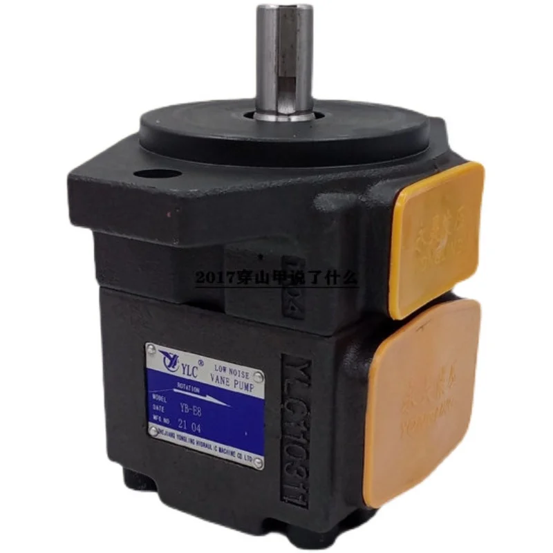 

Xianju Yongling Hydraulic YB-E16/E25/E32/E40/E50/E63/E80 High Performance Vane Pump Pack