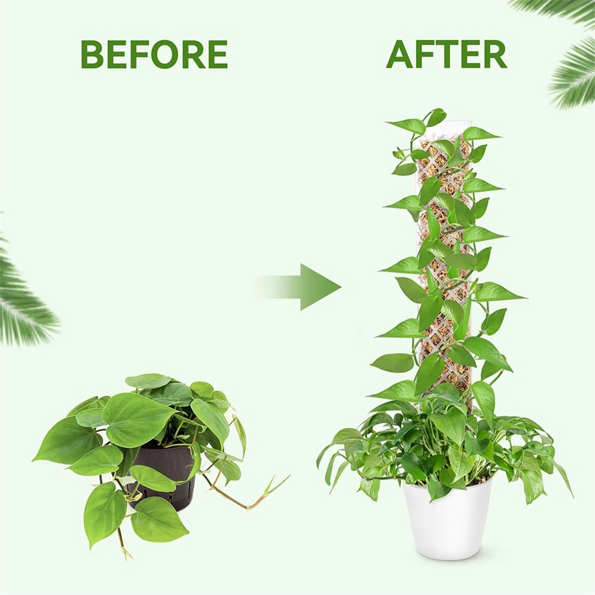 Abjs 4 Packs Plasti… - image