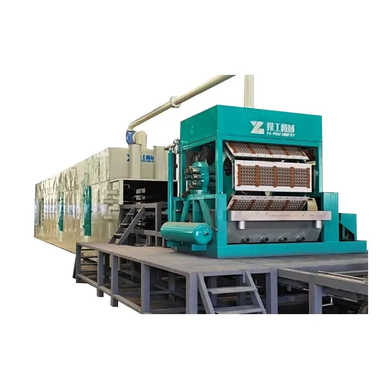 Efficient Rotary Egg Tray Making Machine Continuous Operation System for Paper Pulp Molded Trays Customized Design Cheap Price