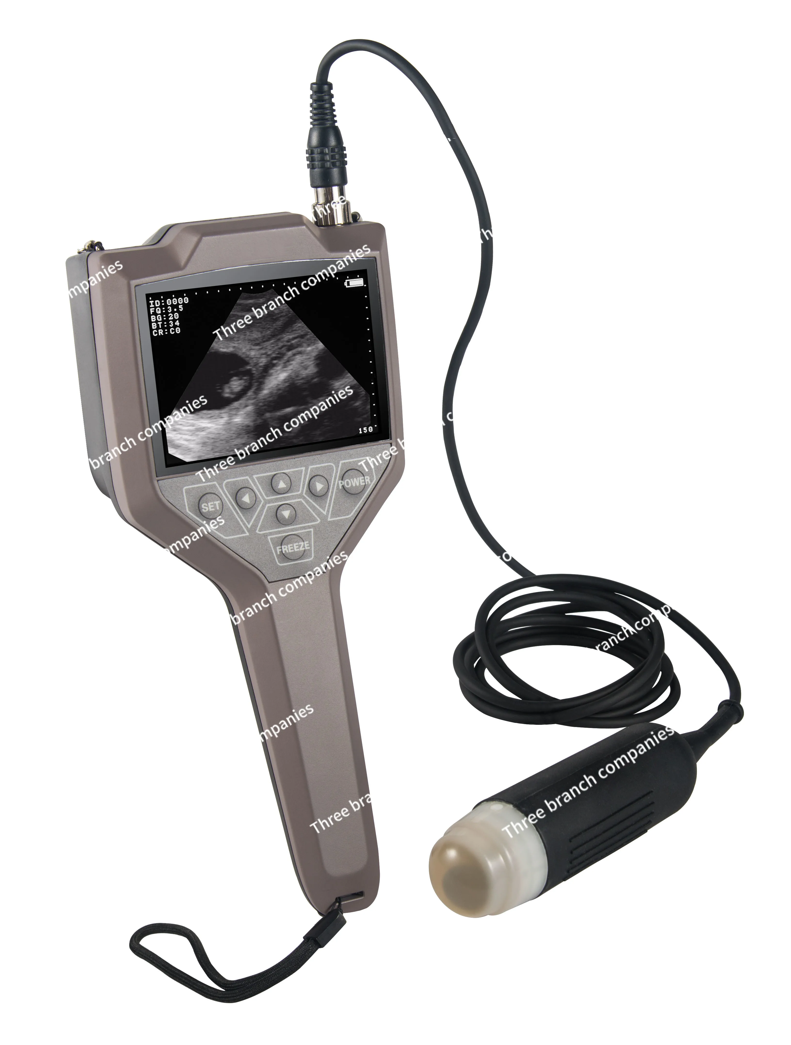 Veterinary pregnancy Fertility Sex Diagnosis Ultrasound