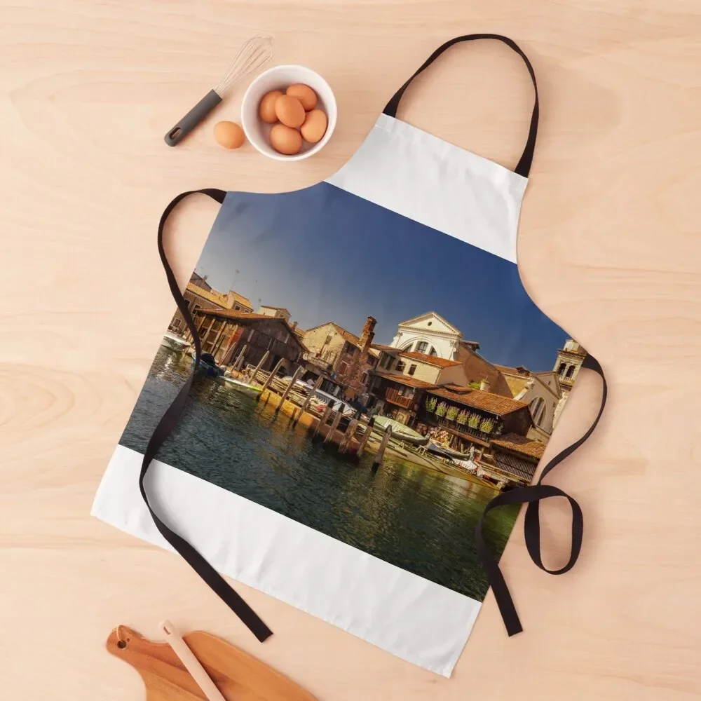 

Squero di San Trovaso Gondola Boatyard Boat Building Apron Kitchen New 2022 Year for kitchen useful For Women Kitchen Apron