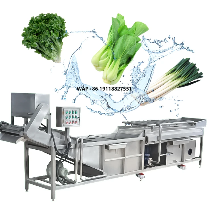 Food Processing Bubble Cleaning Machine for Mushrooms Lotus Root Ginger Vegetables Fruits and Seafood
