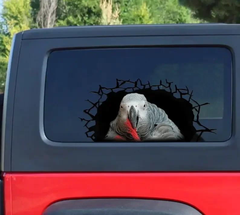 African Grey 3D sticker, cracked window decal , African Grey decal