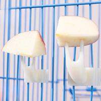 5pcs Durable PP Material Bird Cage Fruit Forks, Parrot Feeding Accessories, Pet Supplies Snack Holder for Birds