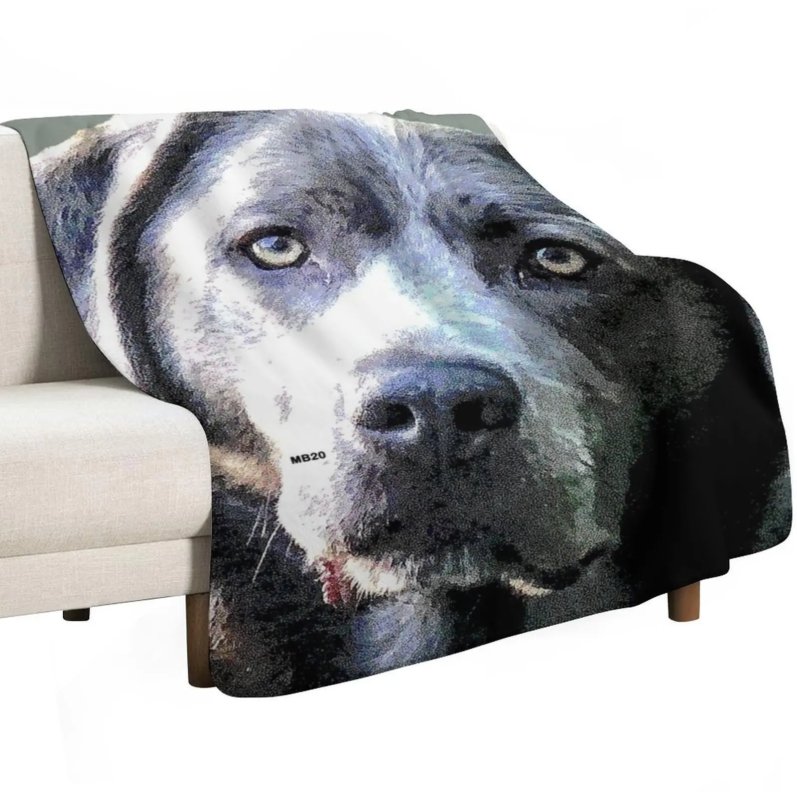 Silver Lab Gray Throw Blanket for babies Blankets For Bed Polar Sofa Throw Hairys Extra Large Throw Blankets
