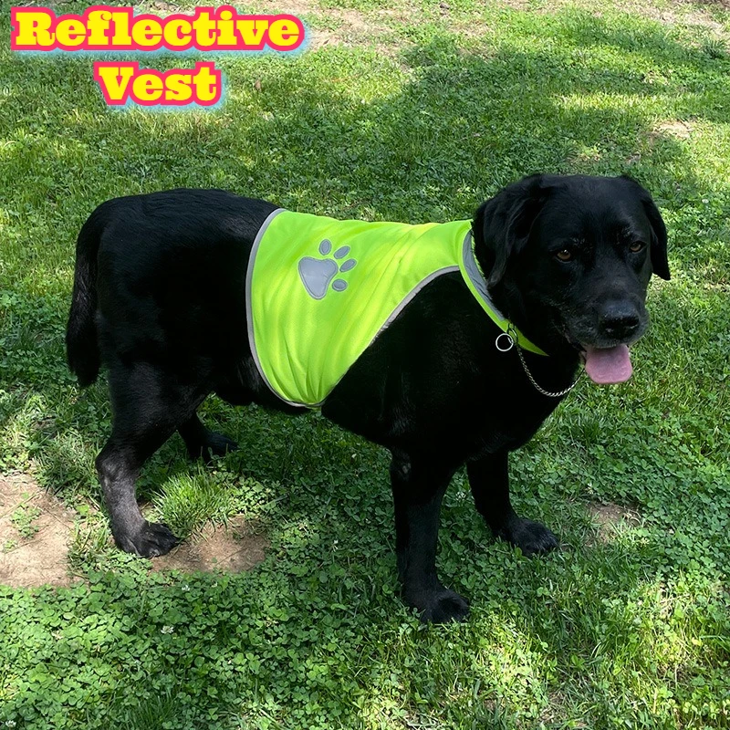 

Dog Safety Vest Reflective Fluorescent Green Breathable Mesh T Shirt Large Breed Dogs Golden Retriever Labrador Husky Outdoor