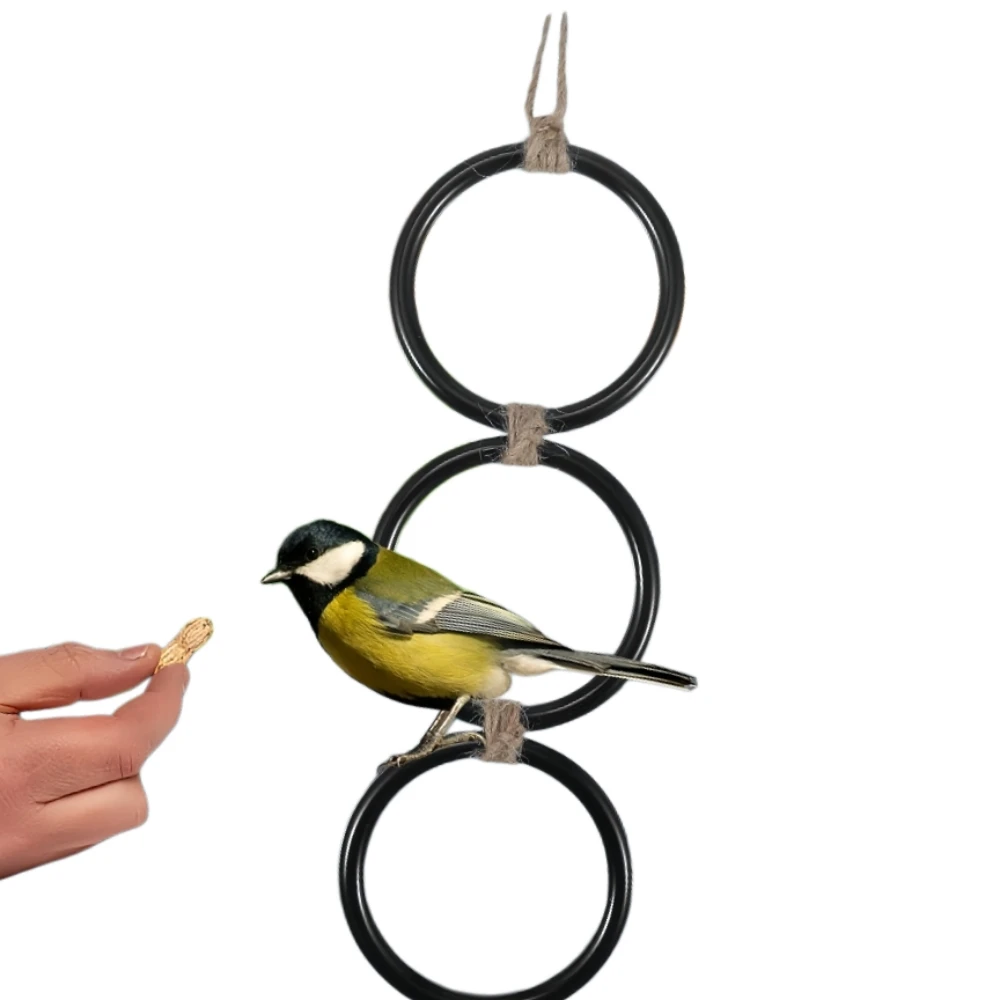 

3 Rings Bird Parrot Toys Hanging Perch Stand Durable Acrylic Cage Swing For snake and Pet Birds
