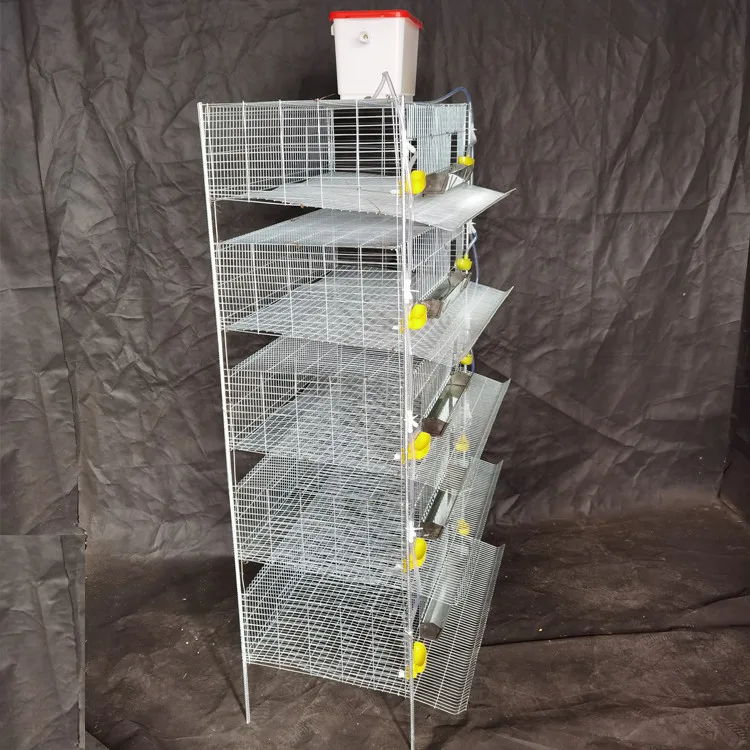 Design Commercial Broiler Chicken Cages Meat Automatic Poultry Feeding Farm Equipment H type Quail 5 Tier 200 Birds Laying Hens