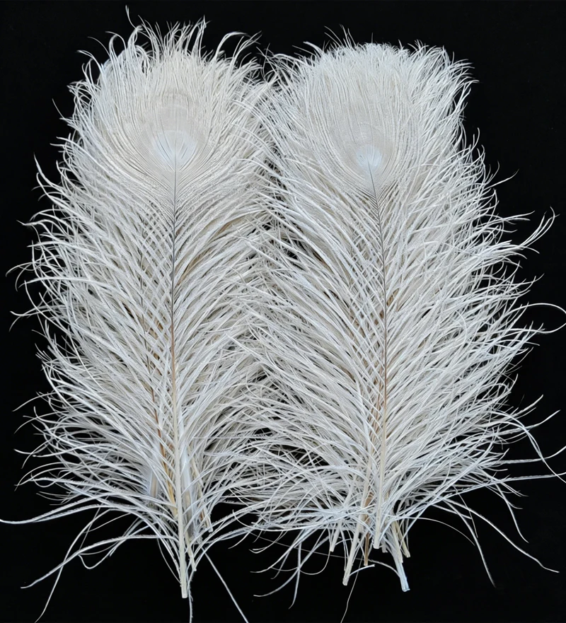 

50Pieces – Creamy White Bleached/Black Peacock Tail Eye Feathers 10-12” Long Craft,Halloween Feathers Wholesale