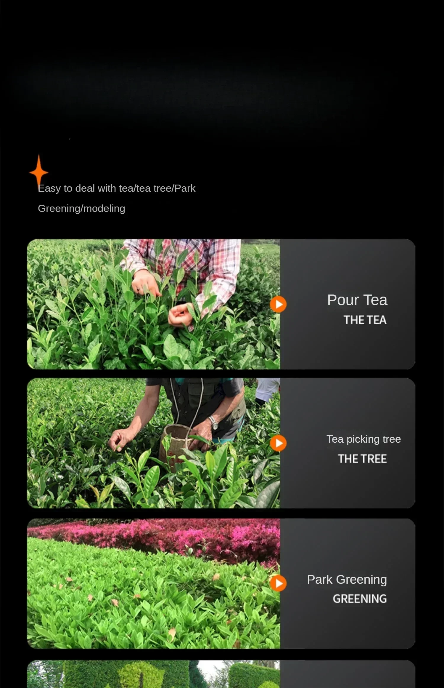 Trimming and Pruning Tea Tree and Hedge with Electric and Rechargeable Machine