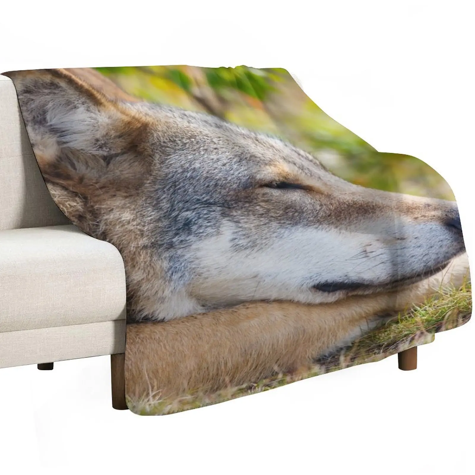 Beautiful coyote wallpaper Throw Blanket Men's Soft Warm Throw Blanket for Couch
