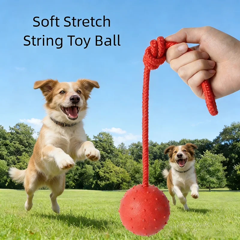 #25 Latest Puppy Rope Toys Offers