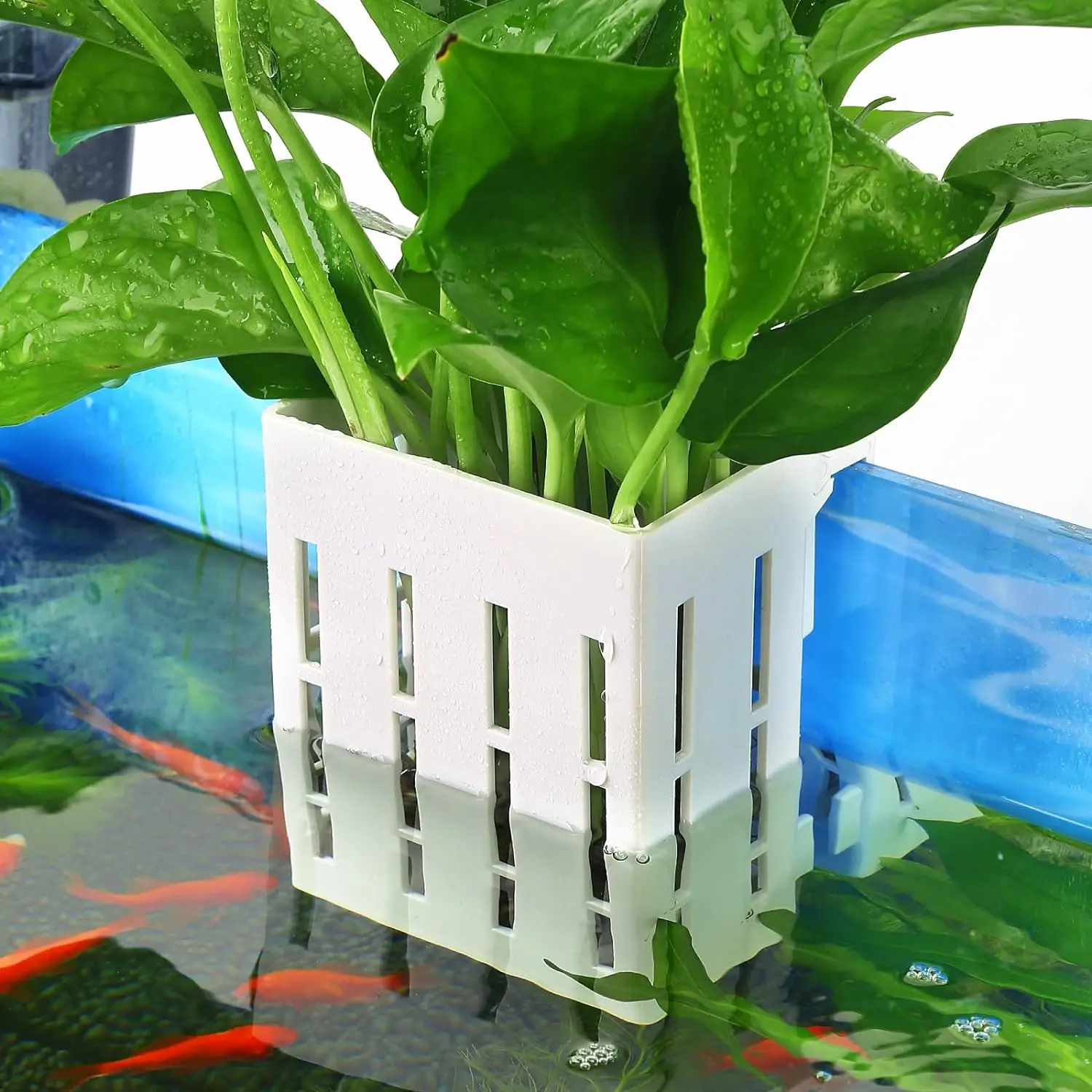 3pcs Aquarium Plant Holder with Hooks and Suction Cups for Fish Tank Aquaponic Plant Cultivation and Aquascape Decorations