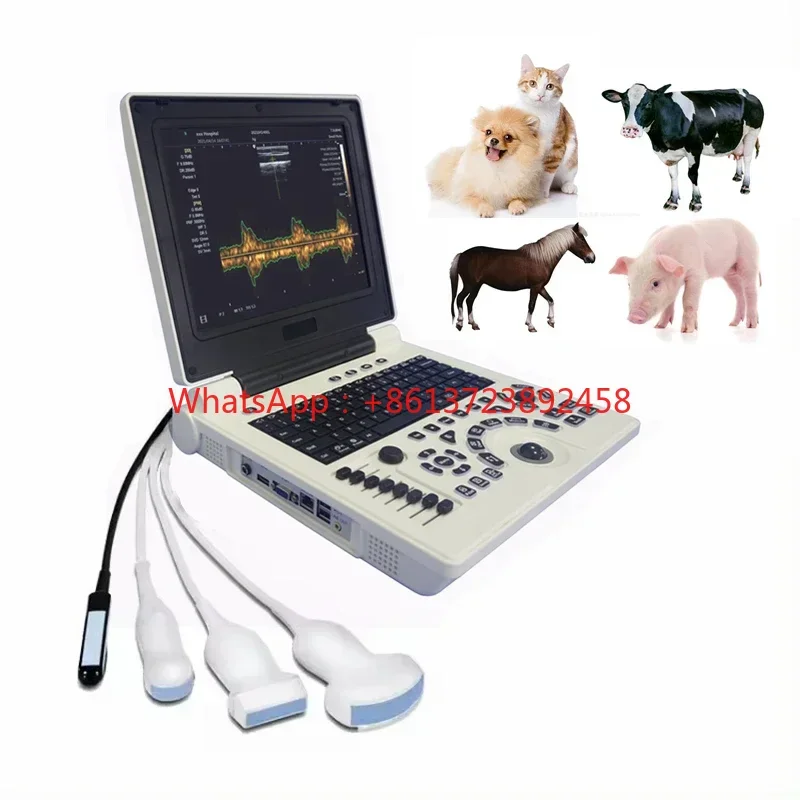 

P20VET Veterinary Ultrasound 3D Image 12Inch LED Screen Animal Veterinary Notebook Vet Pet Use Ultrasound Scanner Machine