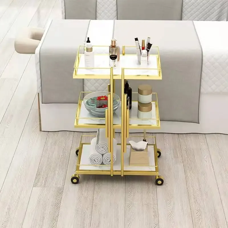 

Special Instrument Cart Multi-layer Iron Hairdressing Trolley Universal Moving Salon Furniture