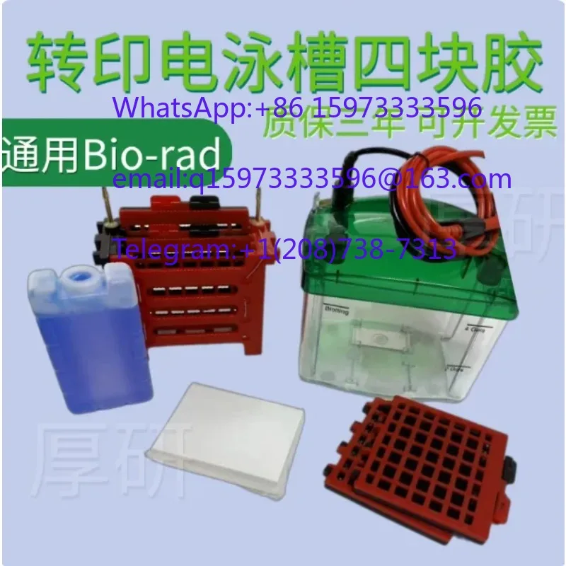 Universal Mini Vertical Electrophoresis Tank Lab SDS PAGE Western Blot Apparatus Replacement Cell Matching MiniProteanTetra