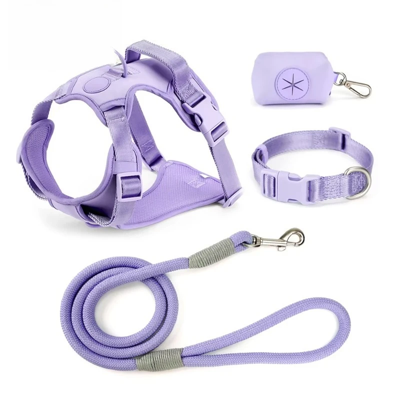 Floral Pattern Dog Carrier Set: Custom Pet Dog Carrier Paired with Collar and Leather Strap Set