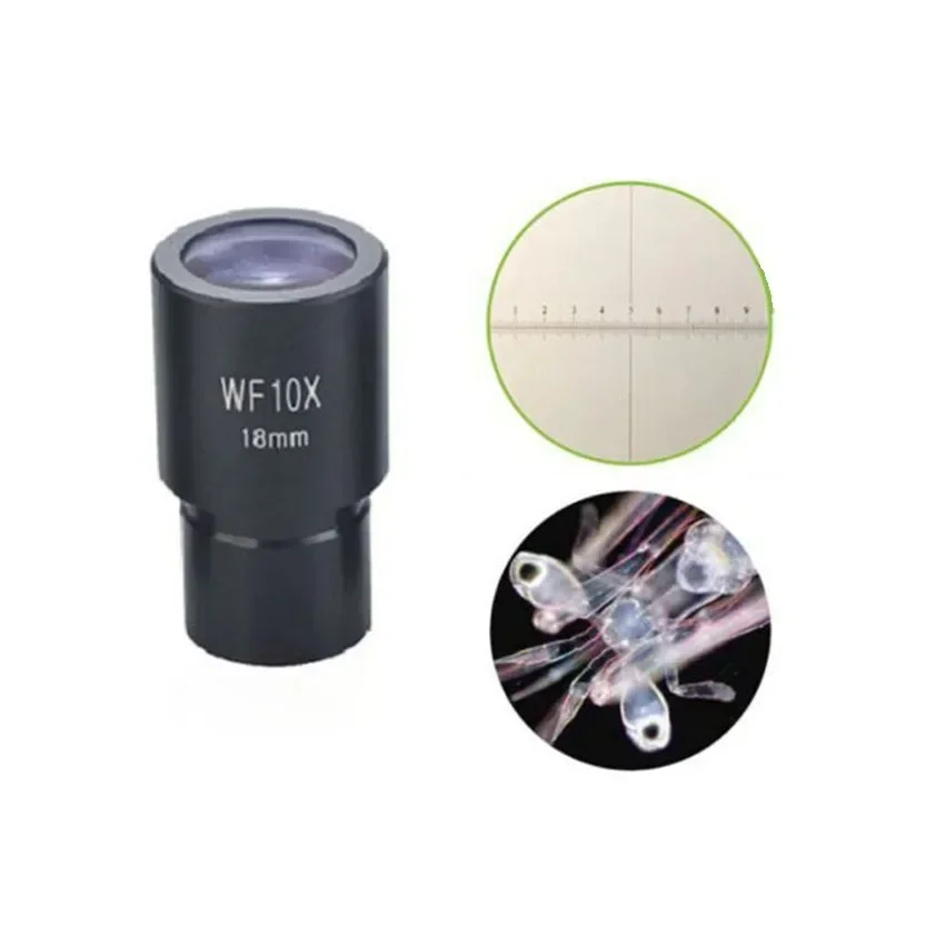 10X Wide Field Eyepieces Reticle 0.01mm for 23.2mm Caliber Biological Microscope Tools Objective Goggles Microscopio Lens