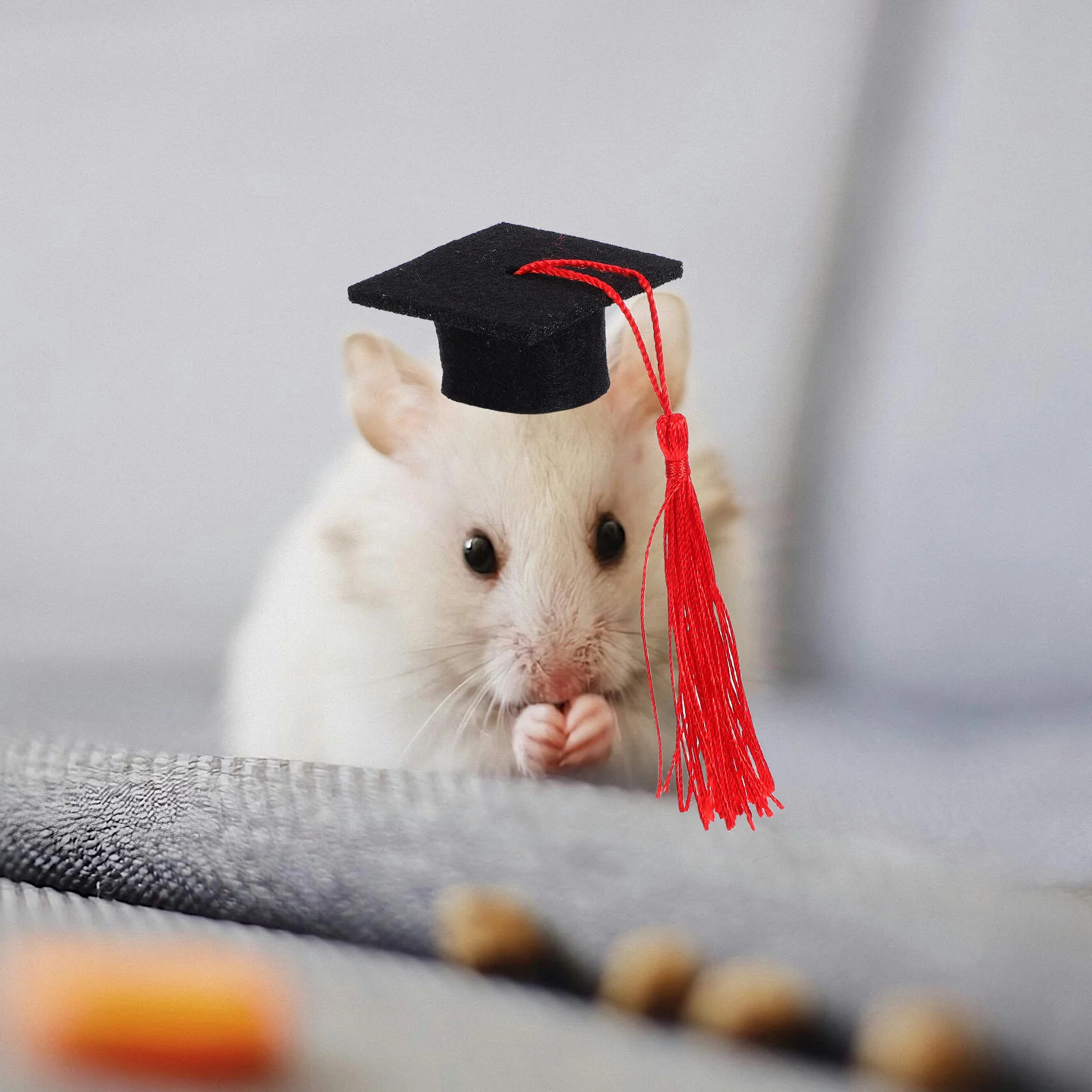 

Hamster Graduation Cap Mini Hat For Small Animals Durable Canvas Pet Party Accessory Lightweight Headband Guinea Pig Bird Rabbit