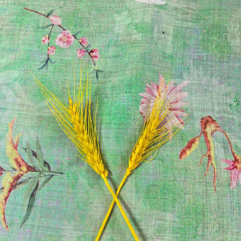 Hoge kwaliteit Ramee-doek Natuurlijk Monet-linnen Groene digitale leeuwstof voor de zomer Chinese dunne bierprint Pure Abaya-kleding