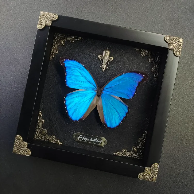 

Morpho Menelaus Butterfly Specimen Photo Frame, Decorative Painting Ornament, Big Blue Flash Butterfly, Birthday Gift, Christmas