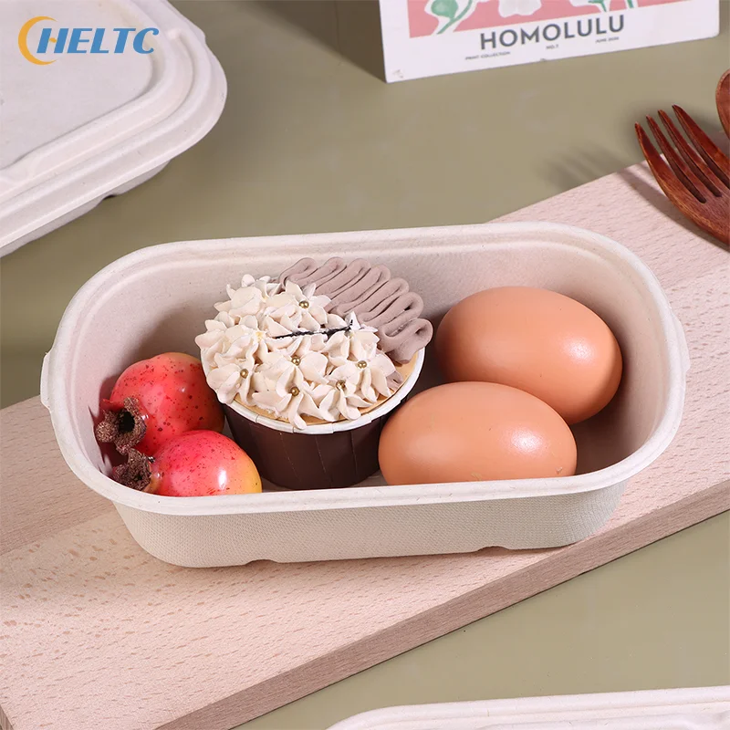 10 قطعة صندوق الغداء القابل للتصرف مع الأغطية القابلة للتحلل الحيوي اللب علب الاغذية الوجبات الجاهزة عبوة تعبئة ضوء الغذاء علبة سلطة صناديق الغداء منفصلة