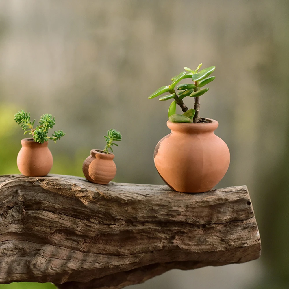 Pots Flower Mini Planter Clay Succulent Pot Ceramic Flowerpot Terracotta Cotta Terra Tiny Nursery Decorative Pottery Miniature