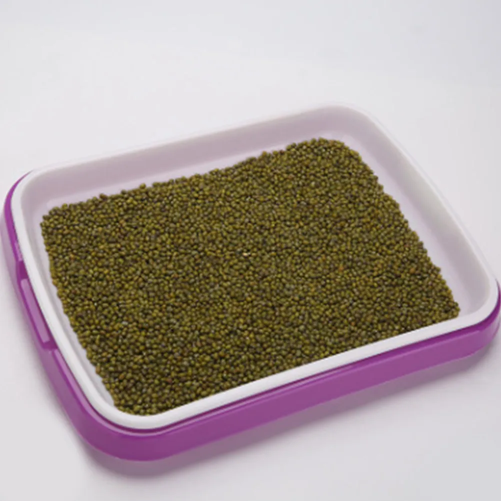 Food Grade PP Sprouter Tray Soil-Free Sprouting Tray for Wheatgrass Broccoli Radish Seeds Plus Fruit Vegetable Storage 35x26x5cm