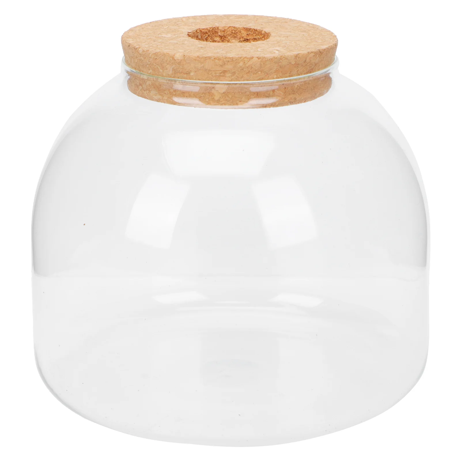 

Micro Landscape Ecological Bottle Glass Terrarium for Plants Fish Tank Cylinder Vases Microlandscape Container DIY Jar