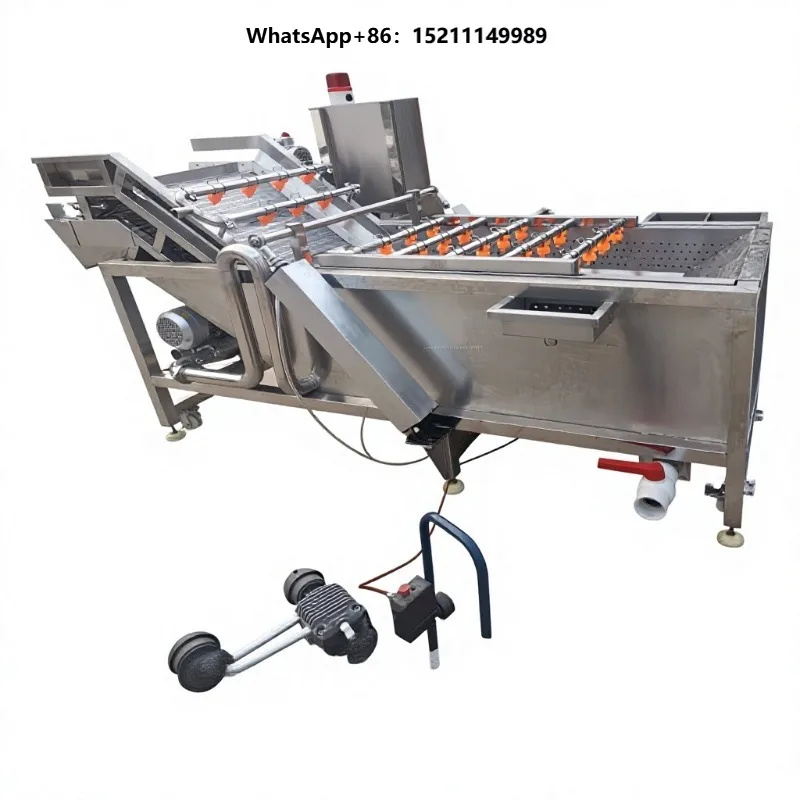 Automatic SUS304 Roller Conveyor Size Grading Fruit Washing and Sorting Machine for Packing House
