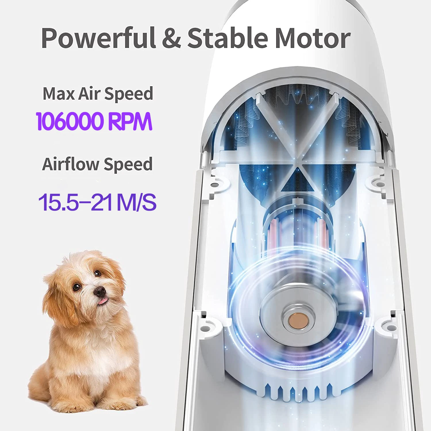 Pet Hair Dryer Intelligent Automatic Blower 1000W Adjustable Speed Grooming Equipment