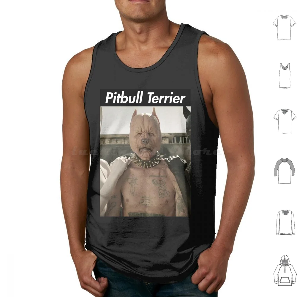 Pitbull Terrier Die…