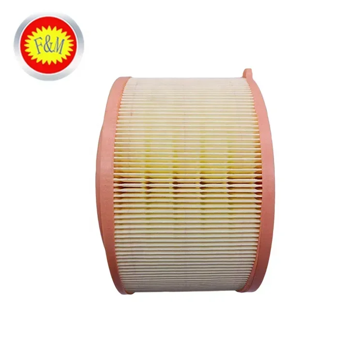 Filtro aria per ricambi auto OEM ab39-9601-ab per auto